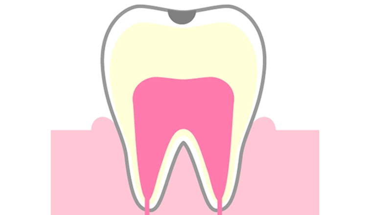 C1｜シティデンタルクリニック そよらリーフシティ市川