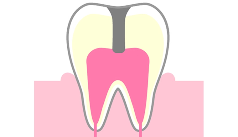 C3｜シティデンタルクリニック そよらリーフシティ市川