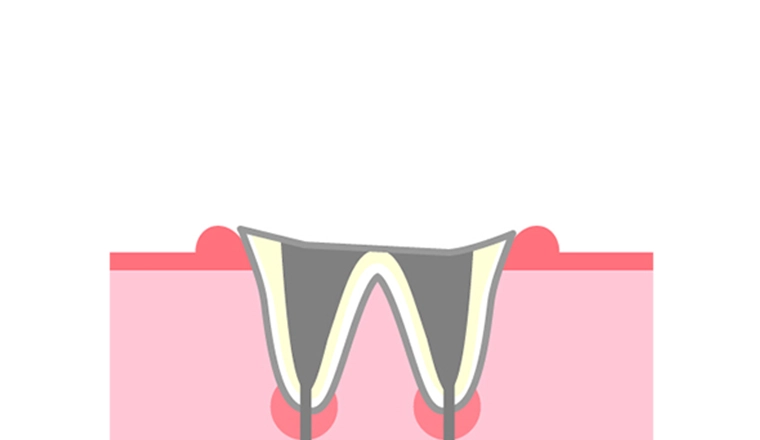 C4｜シティデンタルクリニック そよらリーフシティ市川