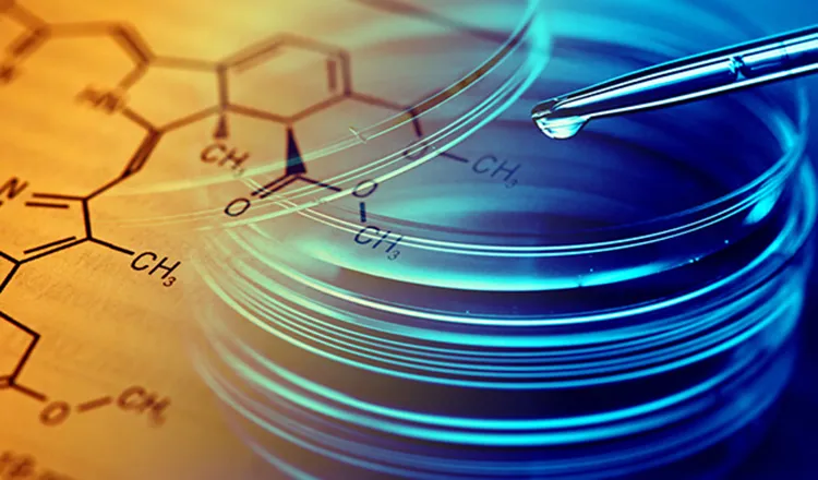 根管充填｜シティデンタルクリニック そよらリーフシティ市川